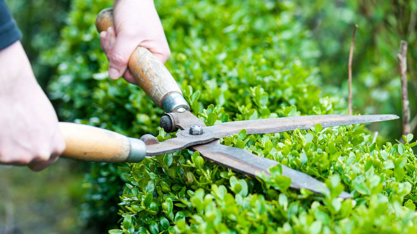  Gartendienst & Hauswart Service 